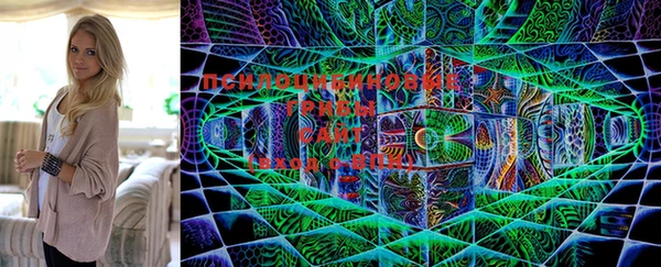 2c-b Куйбышев